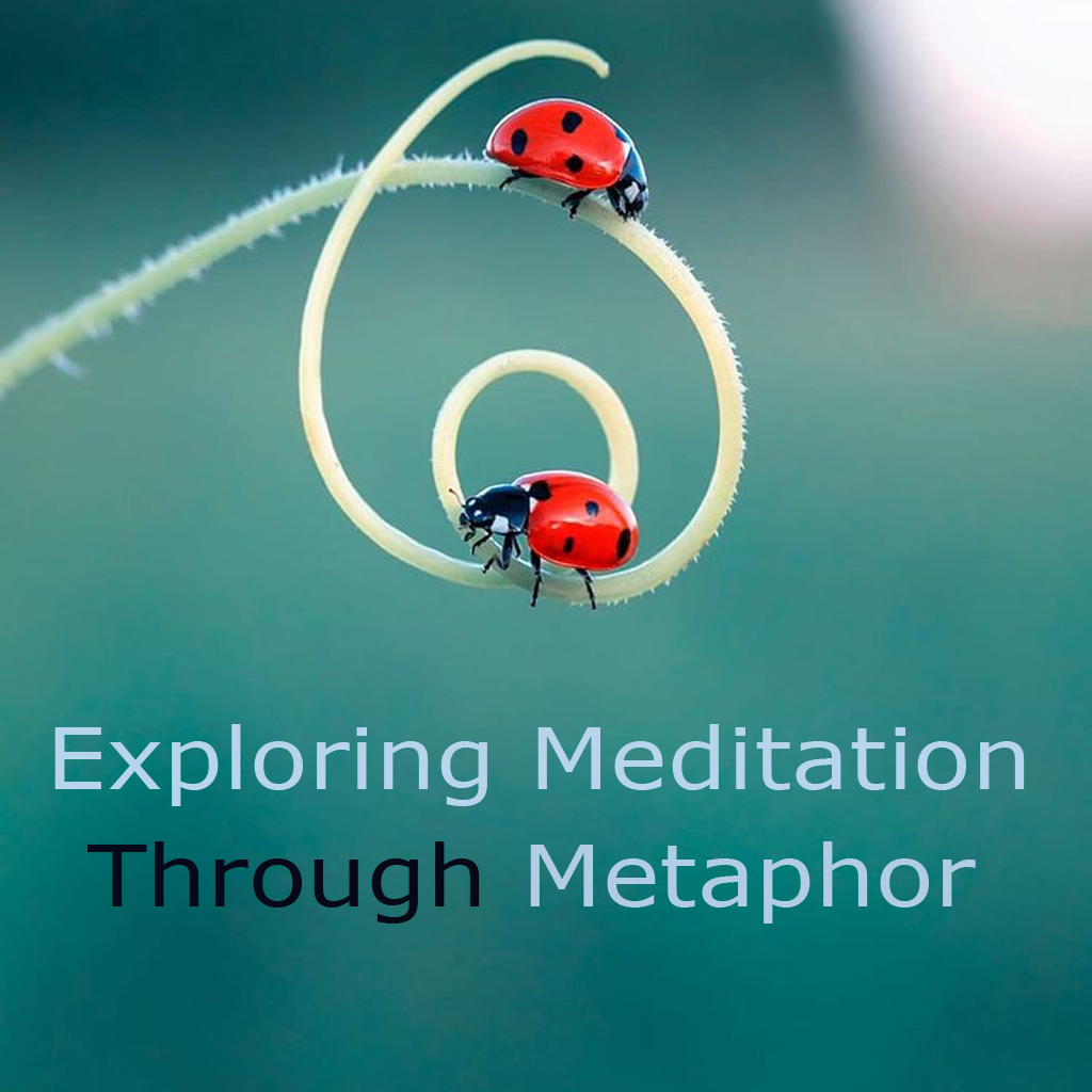 Exploring Meditation through Metaphor
